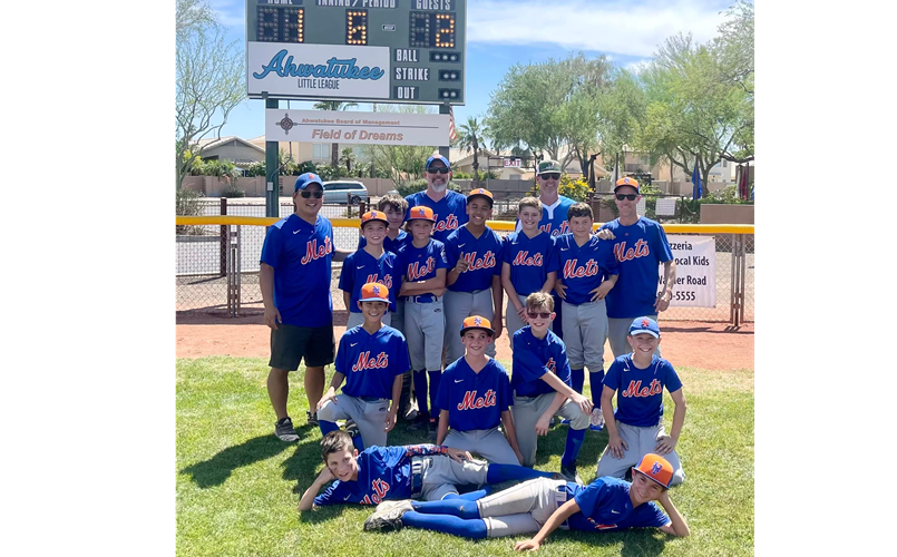 Ahwatukee American Little League Baseball > Home